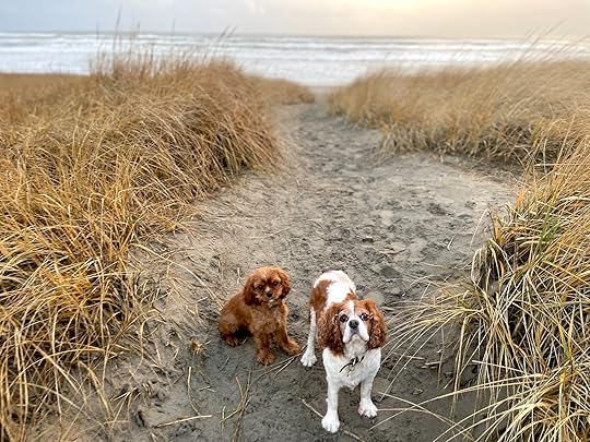 thesimplyluxuriouslife.com | The Simply Luxurious Life