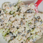 overhead shot of cranberry chicken salad in bowl with red spatula.