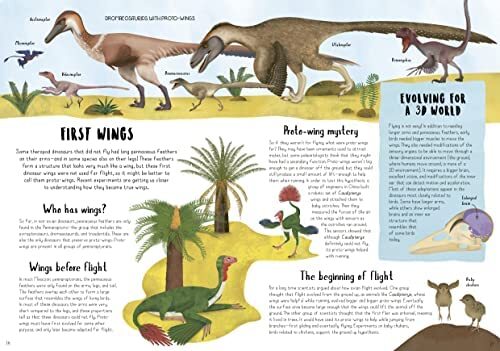 When Dinosaurs Conquered The Skies The Incredible Story Of Bird