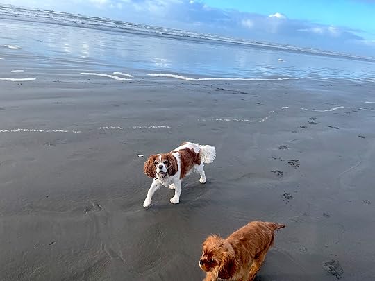 thesimplyluxuriouslife.com | The Simply Luxurious Life