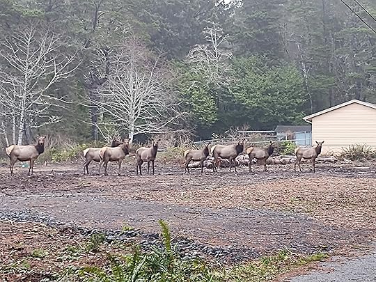 The picture that inspired the poem that follows: seven female elk in a field with trees and a tan-colored house behind them.