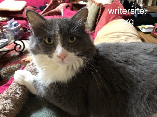 2 poems up at Book of Matches