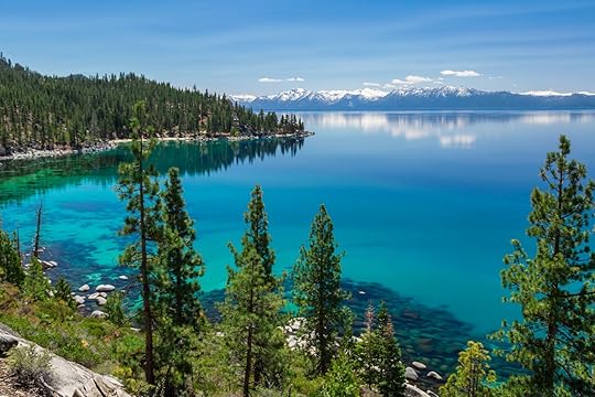 Lake Tahoe in the summer, shoreline with trees. one of the best Reno day trips