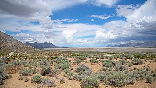 Black rock desert, nevada