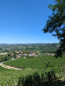 View of countryside from a very tall hill in the sun