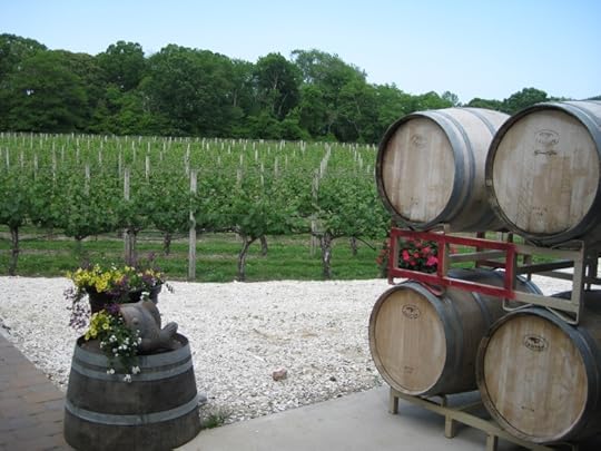 Winery 4
