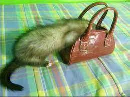 No photo description available.