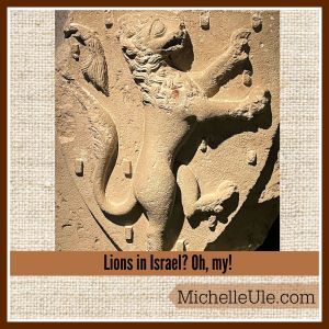 Crusader shield lion