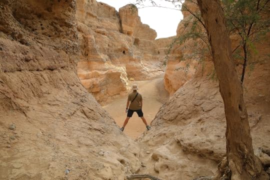 Sesriem canyon in namibia