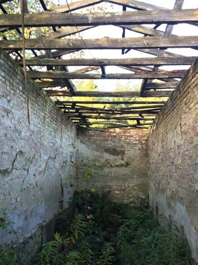The inside of the Temple of Theseus at Pitfour Estate. Home to alligators?
