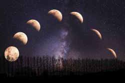 Lunar Cycle