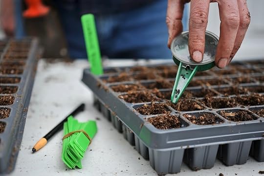 HDahl-seeding-transplants-plug-tray-72-01.jpg