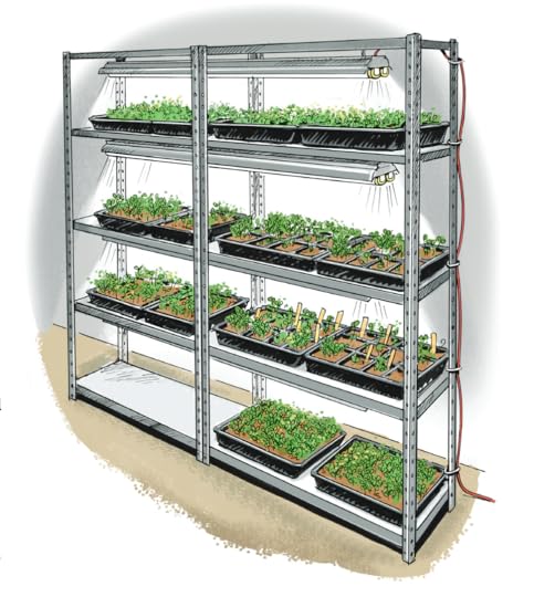 Screen Shot 2023-01-11 at 9.47.12 AM.png