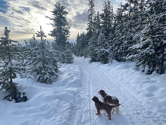 thesimplyluxuriouslife.com | The Simply Luxurious Life