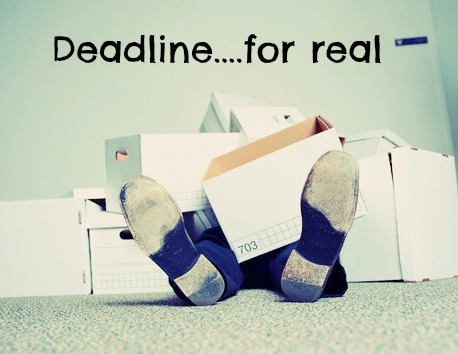 writing professionally, deadline, pain
