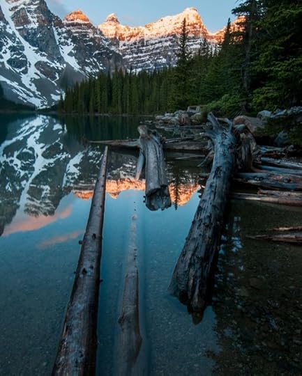 Body of Water Near Trees by Ezra Comeau
