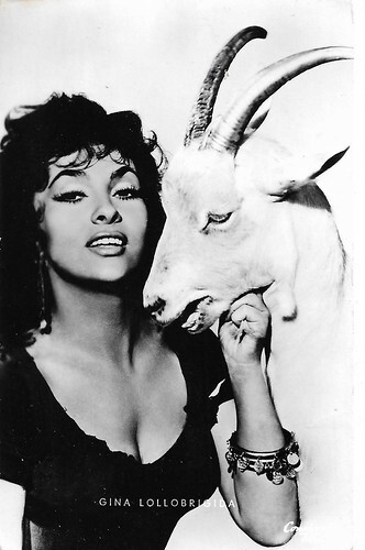 Gina Lollobrigida