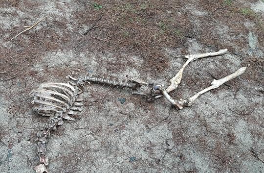 lollygagging skeleton