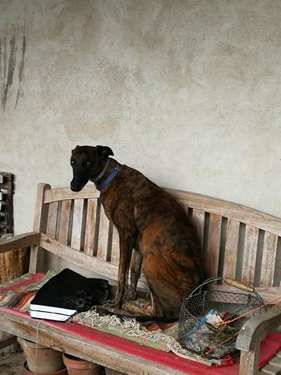 This image has an empty alt attribute; its file name is bix-naime-pas-la-neige.jpg