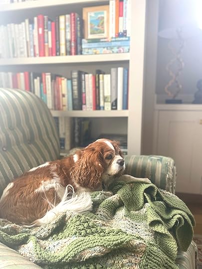 normanchairbookshelves