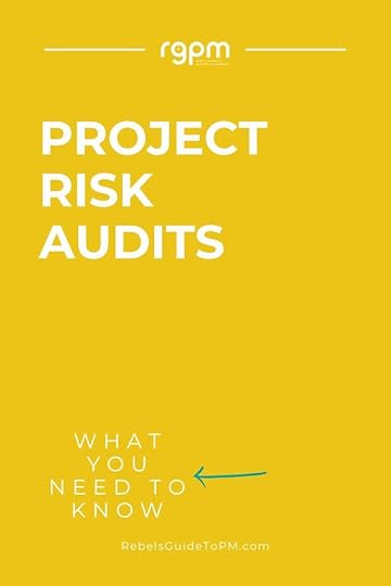 project risk audits