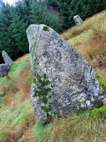 stones in Drinnie's Wood