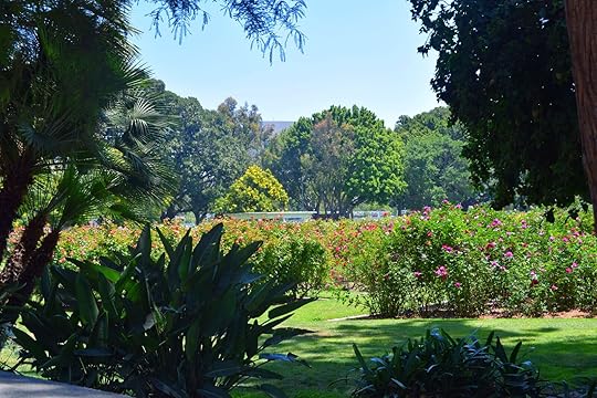 exposition park in los angeles - rose garden close up