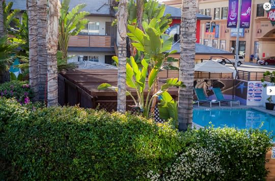 the dixie hollywood, a good hotel near some of the best parks in LA. photo of pool