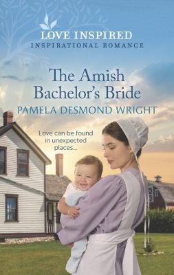 The Amish Bachelor's Bride