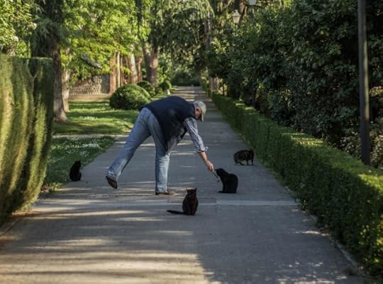 Finding you already know what’s best for you and your life experience isn’t hard