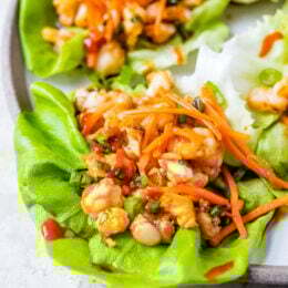 low carb Shrimp Dumpling Lettuce Wraps