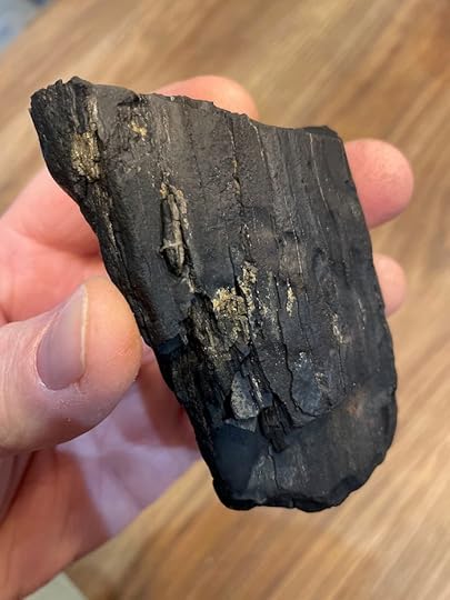 Finding Fossils on the Isle of Wight