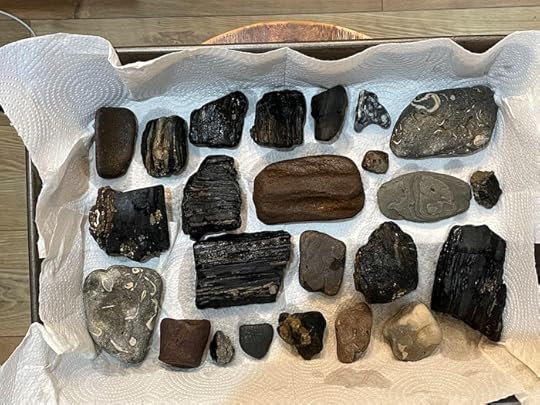 Finding Fossils on the Isle of Wight