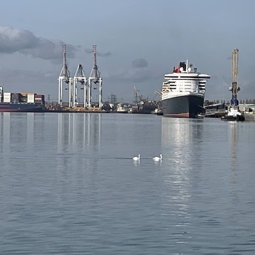 A Day on Dinosaur Island - Finding Fossils on the Isle of Wight by Robin Van Auken