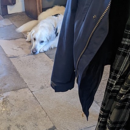 A Day on Dinosaur Island - Finding Fossils on the Isle of Wight by Robin Van Auken