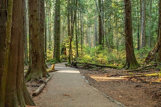 vancouver parks - trail at pacific spirit