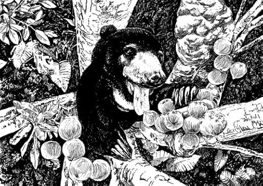 Why saving sun bears is important