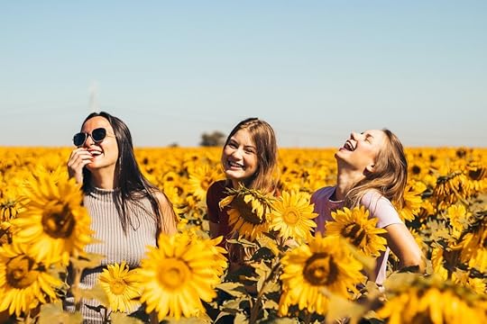 serendipity in a sunflower field