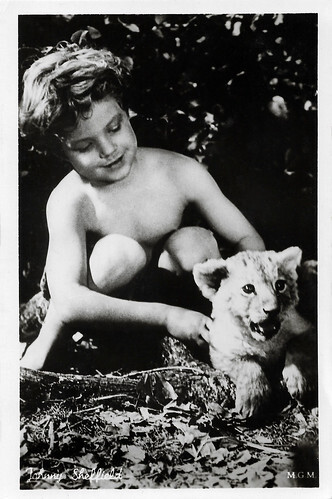 Johnny Sheffield