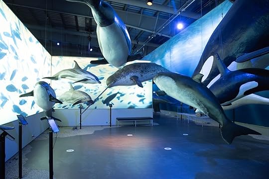 Museums in Reykjavik: Inside the museum Whales of Iceland