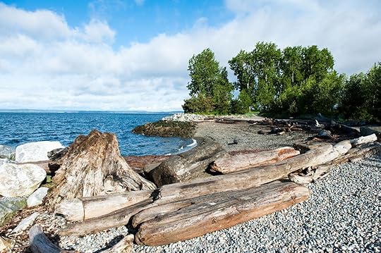 seattle parks - beach at myrtle edwards