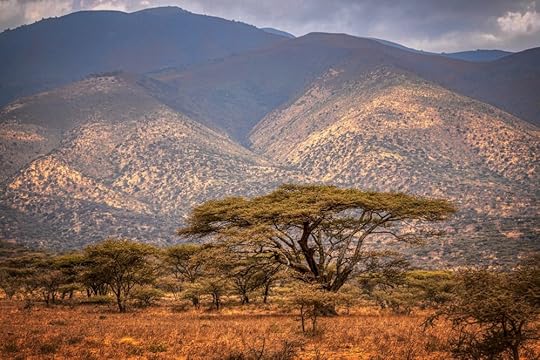 African savanna