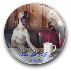 CoffeeSH B3