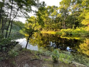 Curtis Pond, Savage Neck, Virginia