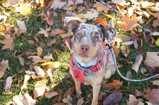 Forgetting after saying goodbye