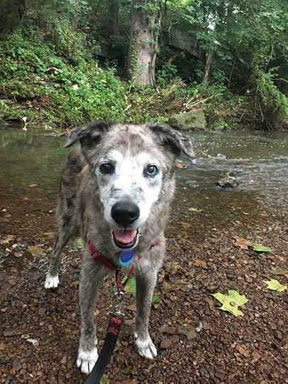Clear Creek Rail Trail