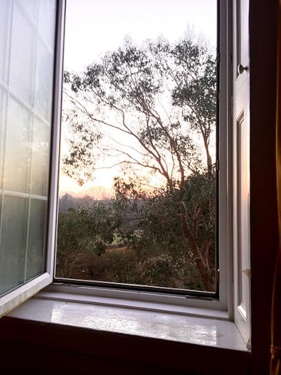 window view
