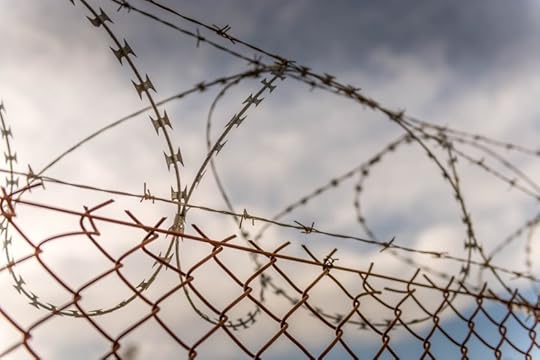 What Living in a War Zone Taught Me About Leadership
