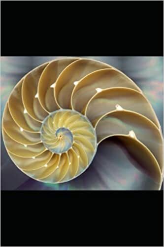 Conscious Creativity: Ancient Europe's Mindfulness Mediazations by Nataša Pantović