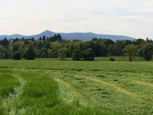Bennachie in the distance